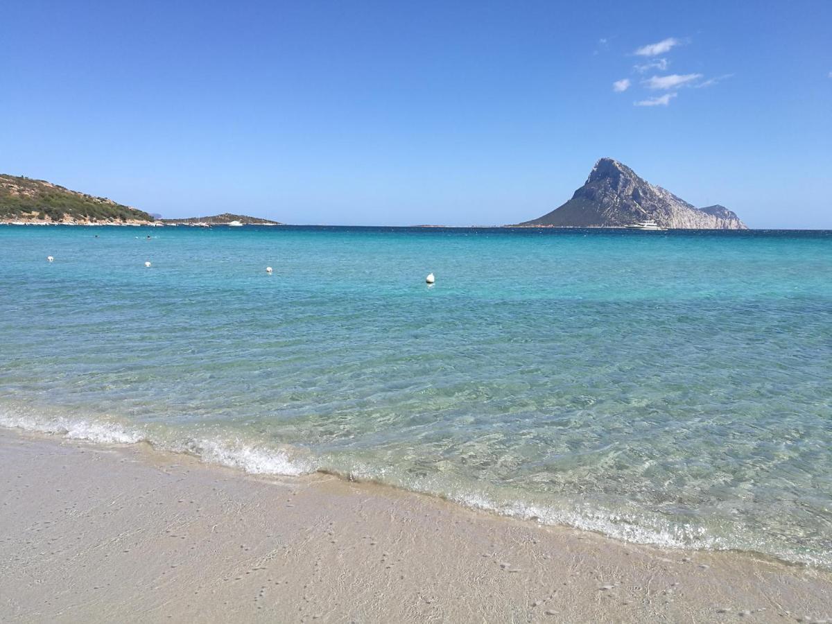 Splendida Villetta Tavolara 2 Vaccileddi Dış mekan fotoğraf